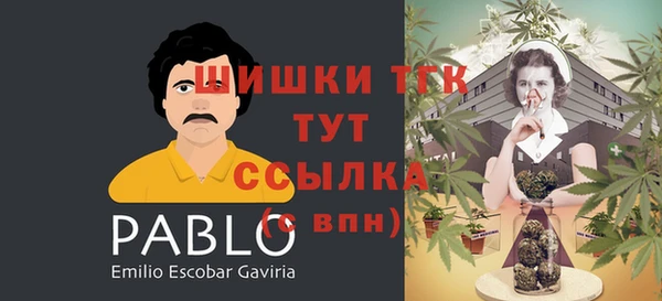 стафф Абаза