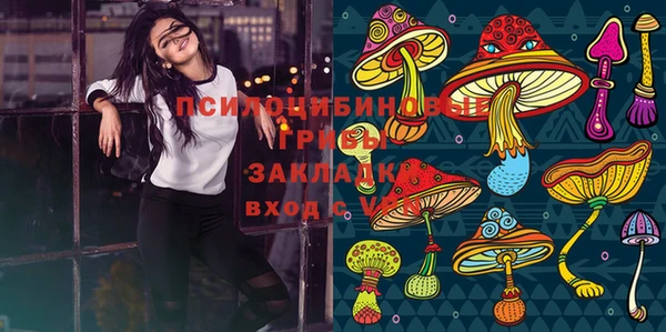 стафф Абаза