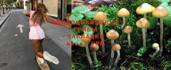 ГАЛЛЮЦИНОГЕННЫЕ ГРИБЫ Алзамай