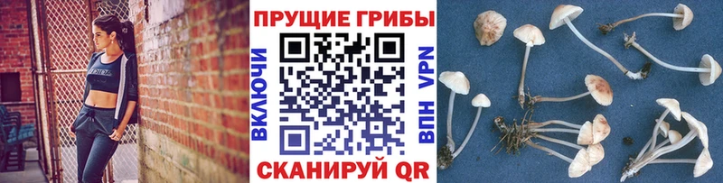 MEGA ССЫЛКА  Уварово  Псилоцибиновые грибы GOLDEN TEACHER 