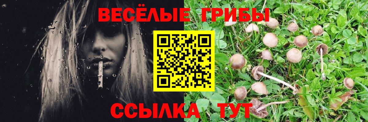 цена наркотик  Вход с VPN  Уварово  Галлюциногенные грибы Cubensis  Галлюциногенные грибы Psilocybe 